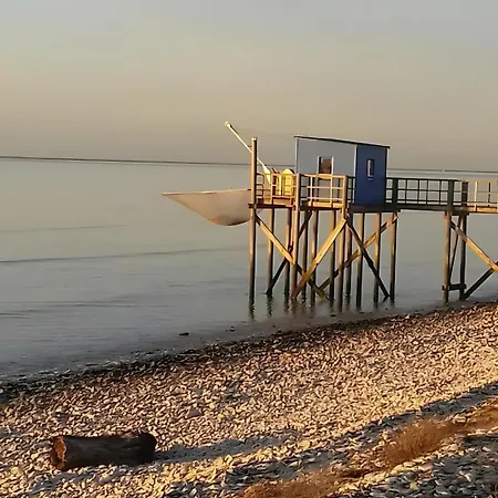 L'abricotier - Charente-maritime * Saint-Crepin (Charente-Maritime)
